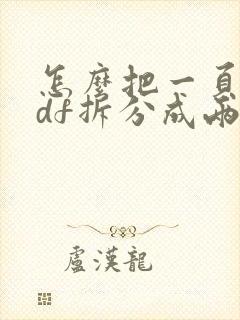 怎么把一页的pdf拆分成两页