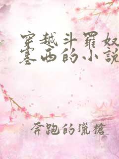 穿越斗罗奴役波塞西的小说