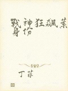 战神狂飙叶无缺身份