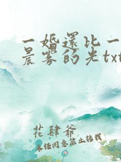 一婚还比一婚高晨雾的光txt
