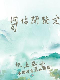 网站开发定制公司