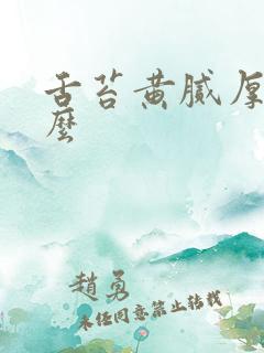 舌苔黄腻厚吃什么