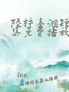 陆柠秦湘短剧全集免费播放