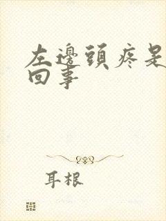 左边头疼是怎么回事