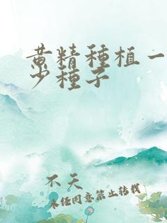 黄精种植一亩多少种子