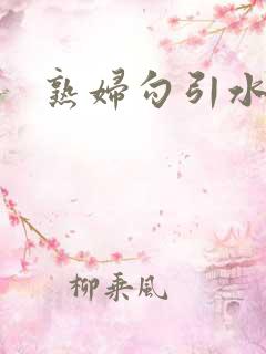熟妇勾引水管工