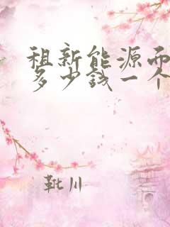 租新能源面包车多少钱一个月