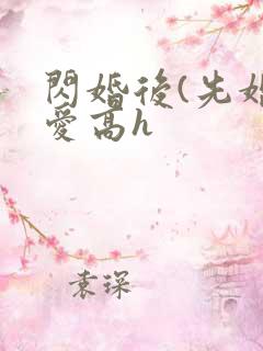 闪婚后(先婚后爱高h