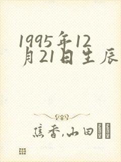 1995年12月21日生辰八字
