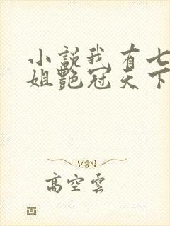 小说我有七个姐姐艳冠天下txt下载