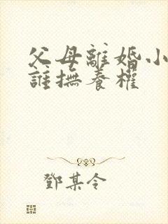 父母离婚小孩归谁抚养权