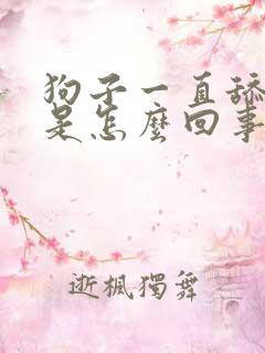 狗子一直舔爪子是怎么回事