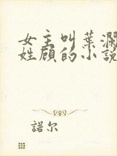 女主叫叶澜男主姓顾的小说