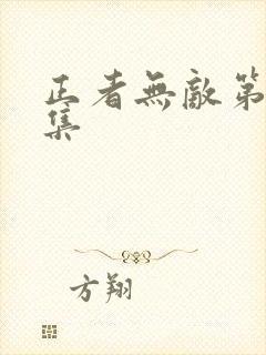 正者无敌第22集
