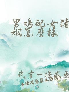男鸡配女猪的婚姻怎么样