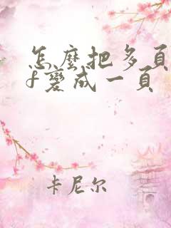 怎么把多页pdf变成一页