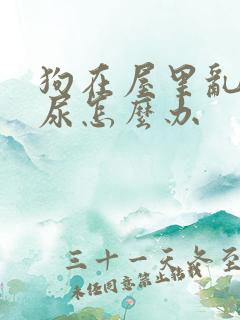 狗在屋里乱拉乱尿怎么办
