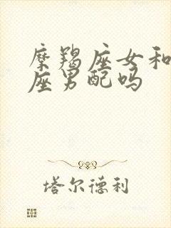 摩羯座女和狮子座男配吗