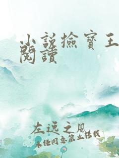 小说捡宝王免费阅读