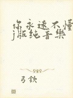 你永远不懂我dj版纯音乐