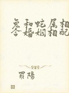 兔和蛇属相合不合婚姻相配