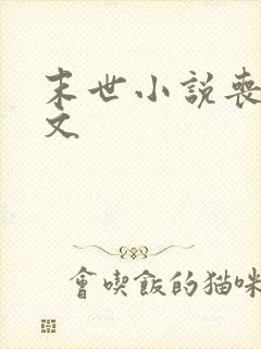 末世小说丧尸爽文