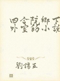 四合院乡下还有外室的小说