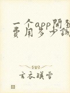 一个app开发费用多少钱