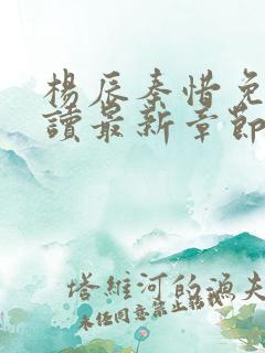 杨辰秦惜免费阅读最新章节