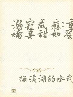溺宠成瘾:重生娇妻甜如蜜