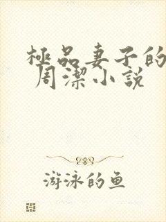 极品妻子的秘密 周洁小说