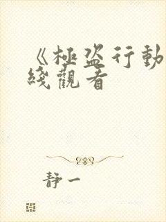 《极盗行动》在线观看