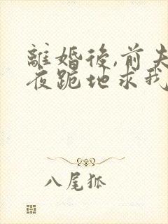 离婚后,前夫雨夜跪地求我复婚免费阅读