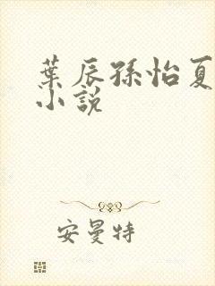 叶辰孙怡夏若雪小说