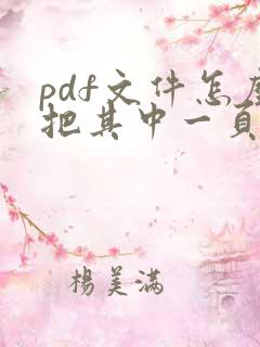 pdf文件怎么把其中一页弄成另一个pdf文件
