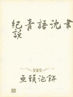 纪青语沈聿风小说