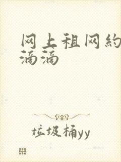 网上租网约车跑滴滴