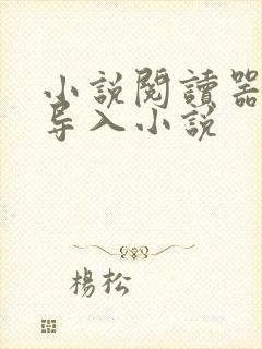 小说阅读器怎么导入小说