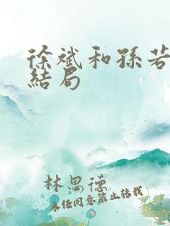 徐斌和孙若微的结局