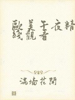 欧美午夜精品在线观看
