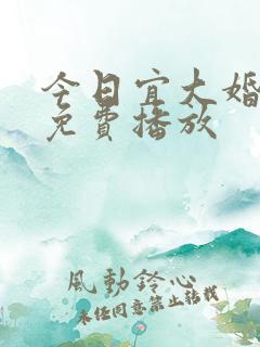 今日宜大婚合集免费播放