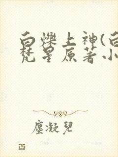 白烁上神(白月梵星原著小说)