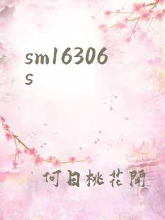 sm16306s