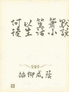 何以笙箫默之婚后生活小说