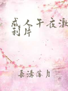 成人午夜激情福利片