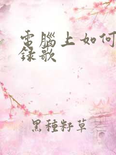 电脑上如何唱歌录歌