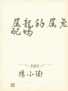 属龙的属兔的相配吗