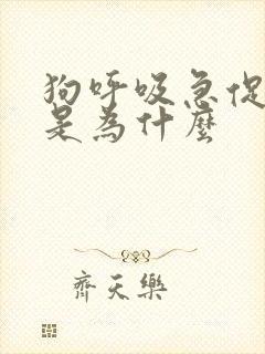 狗呼吸急促发抖是为什么