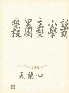 双男主小说推文校园双学霸