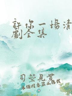 许你一场清欢短剧全集